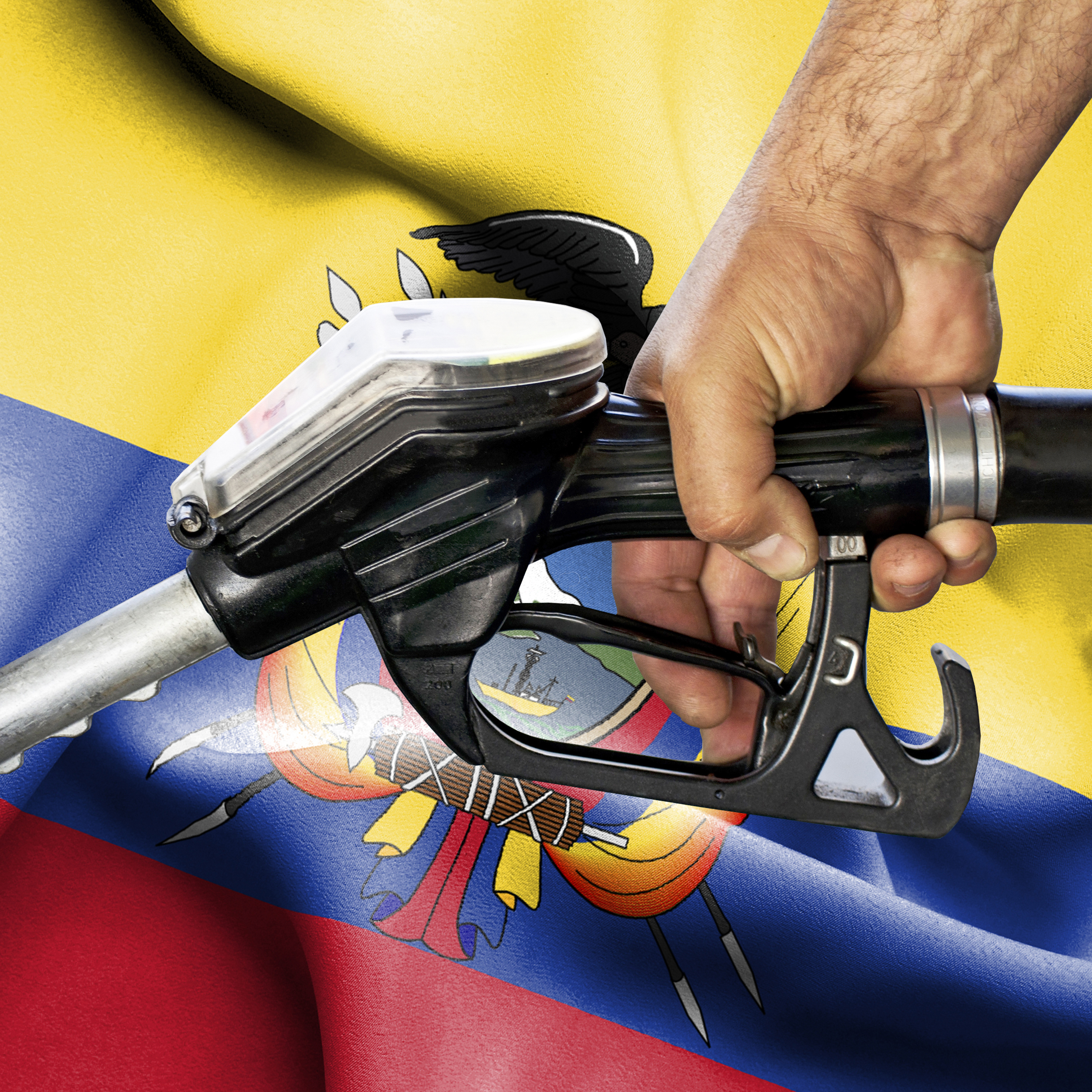 Una perspectiva cuantitativa sobre las protestas en Ecuador